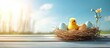 © vxnaghiyev - Children s Easter backdrop A bird s nest with small eggs and a toy yellow chick on a board under the blue sky Copy space Area for text Front view