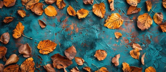 Poster - Dry autumn leaves on a light blue background arranged in a flat lay Area for text. with copy space image. Place for adding text or design