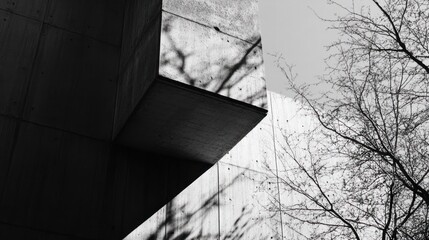 Poster - Abstract architectural composition with shadows and tree branches in black and white.