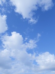 Canvas Print - White clouds drift across a bright blue sky.