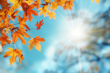 Wall Mural - autumn background with blurred autumn leaves and sun rays on a blue sky