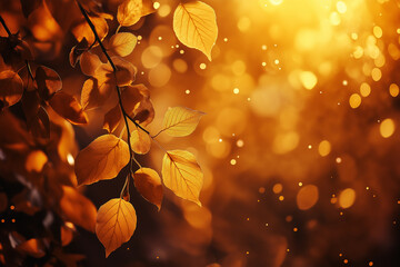 Wall Mural - autumn forest background with blurred golden leaves and sunlight. beautiful autumn nature scene. aut