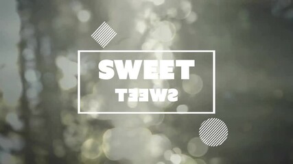 Poster - Animation of sweet text over light trails and trees