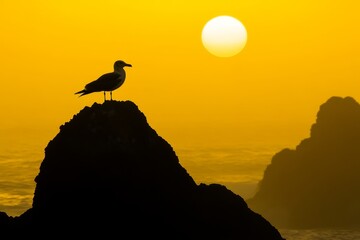 An evening sunset at the coast of Spain, Cala S'Alguer, Costa Brava