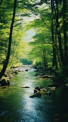 Canvas Print - River forest wilderness landscape.