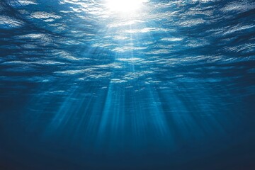 Wall Mural - sunlight beams through ocean water