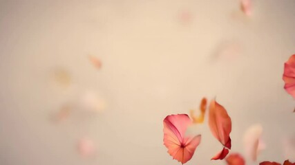 Poster - beautiful scene of delicate pink flower petals floating and falling gently through the air, set against a soft pastel background