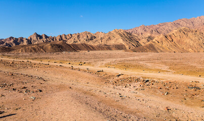 Poster - View of desert mountain landscape