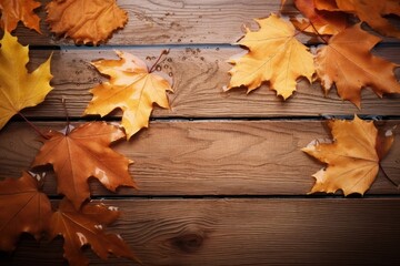 Poster - Fall leaves nature maple plant.