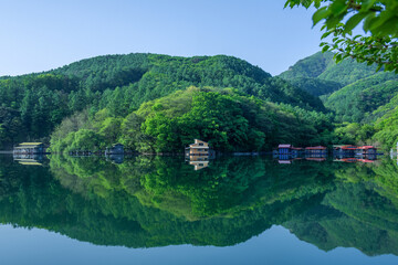 Wall Mural - Beautiful colors of Emerald Lake reflection, morning view.