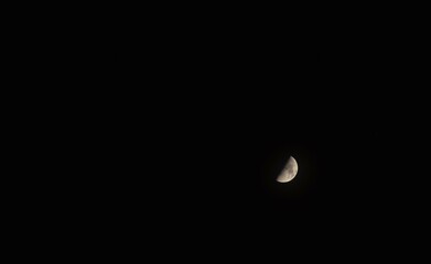 Wall Mural - half moon floating on dark sky in night