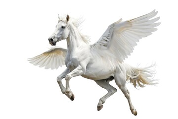 Poster - A majestic white horse spreads its wings, defying gravity in mid-air
