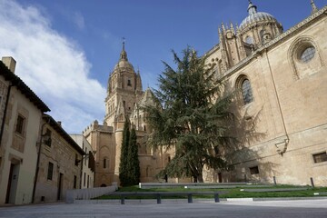 Wall Mural - A view of the historic Salamanca Cathedral in Spain, with clear blue skies and surrounding buildings