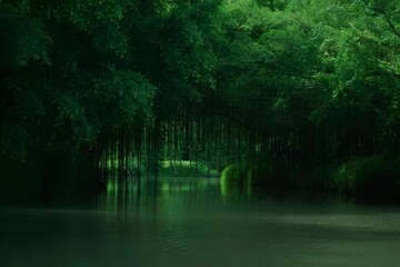 Sticker - Lush green forest with hanging vines and a calm river.