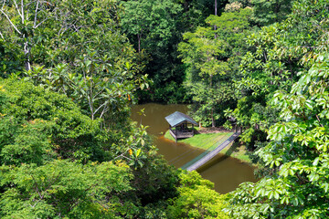 Wall Mural - Aerial view of a small hut and suspension bridge over a river in Sepilok, Borneo island, Malaysia