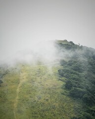 Wall Mural - One of the hills of Ngong Hills, Kenya covered in fog