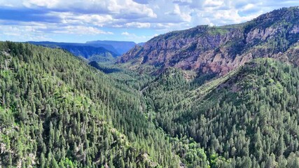 Wall Mural - Aerial footage of the scenic Oak Creek Canyon on a sunny day in Sedona, Arizona, United States