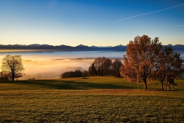 Scenic view of a grassy field with trees and fog, against a backdrop of mountains. Auerberg, Germany