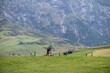 © Wirestock - Cyclist in a lush green valley with rocky cliffs.