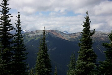 Wall Mural - Scenic mountain landscape with evergreen trees