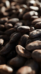 Poster - closeup of natural tropical Cocoa beans, brown organic cacao background