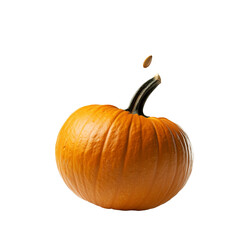 A single pumpkin with a seed dropping from it isolated transparent background