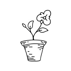 Wall Mural - hand drawing of a potted flower with large leaves and a small bloom.