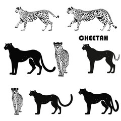 Wall Mural - mozahid_72819_black_and_white_silhouette_icon_set_of_cheetahs_i_e35bb622-16f6-4deb-a493-a7aa2e3b330d [Converted].ai