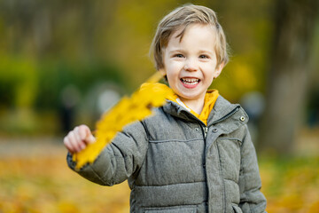 Canvas Print - Cute little boy playing outdoors on sunny autumn day. Child exploring nature. Fall activities for kids.