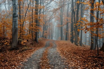 Wall Mural - Autumn forest tranquility landscape treelined.