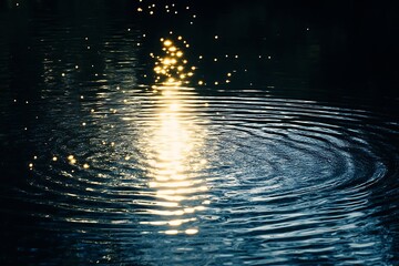 Canvas Print - water drops on the surface