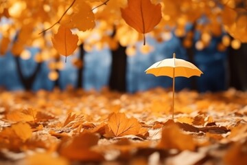 Canvas Print - Autumn backdrop sunlight umbrella leaves.