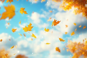 Wall Mural - autumn leaves falling in the sky nature leaf outdoors.