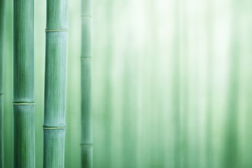 Close-up of bamboo stalks creating a serene and peaceful environment, symbolizing nature and tranquility.