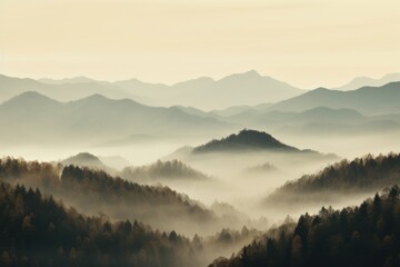 Sticker - Foggy landscape outdoors nature forest.