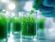 © MP-AI - Hand carefully adding liquid to a beaker with vibrant green plants, showcasing laboratory research in botany and plant growth.