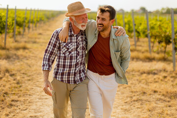 Two men stroll through a sunlit vineyard, sharing laughter and stories on a warm afternoon, surrounded by lush green vines