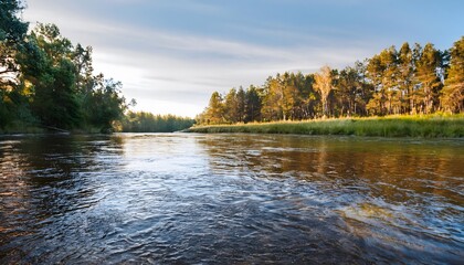 river with clear water and tree forest on a background the natural texture of trees