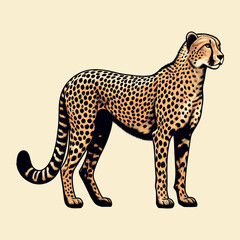 Cute Cheetah Vector Cartoon illustration