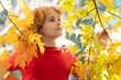 © Volodymyr - Child outdoor portrait in red and yellow leaves in an autumn park. Autumn and mood. Little child boy in autumn orange leaves, outdoor. Adorable toddler boy portrait on beautiful autumn day.