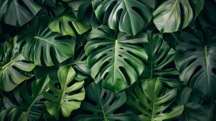 Tropical leaves background illustration generated by ai