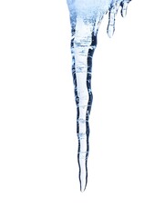 Poster - Elegant and Fragile Icicles Forming in Freezing Winter Landscape with Crystalline Frozen Water Droplets against White Background