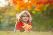 © Volodymyr - The Autumn. Kids laying down on the leaves in autumn park outdoor. Kid lying in autumn leaves. Fall autumn foliage concept. Kid boy playing with fall leaves in park.