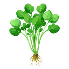 Wall Mural - watercress