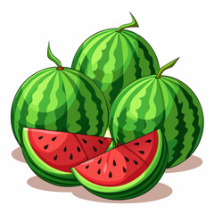 Wall Mural - watermelon illustration