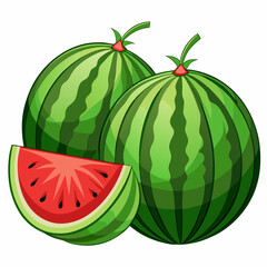 Wall Mural - watermelon illustration