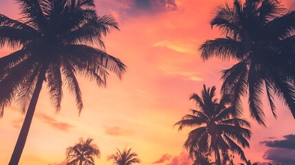 A vibrant orange and pink sky at dusk with palm trees gently swaying in the breeze, highlighting the beauty of nature