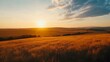 © PondLord - A breathtaking view of vast golden fields at sunset, with the sun dipping below the horizon casting warm hues across the landscape