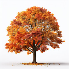 fall tree, fallen leaves, in a white background
