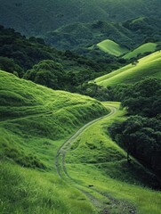 Wall Mural - Lush Green Mountains in the Philippines